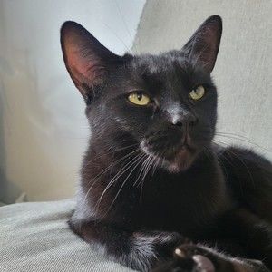 Meet your Posher, Madison